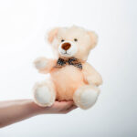 Αρκουδάκι Teddy Bear