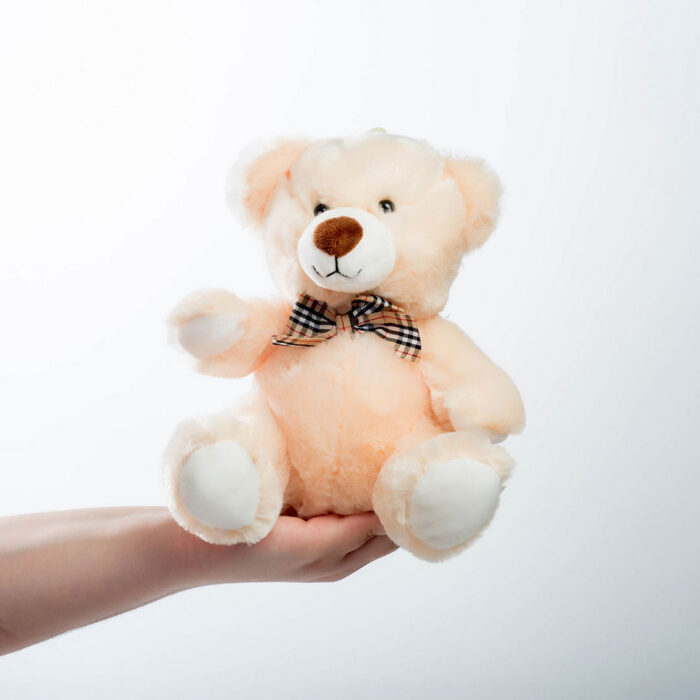 Αρκουδάκι Teddy Bear