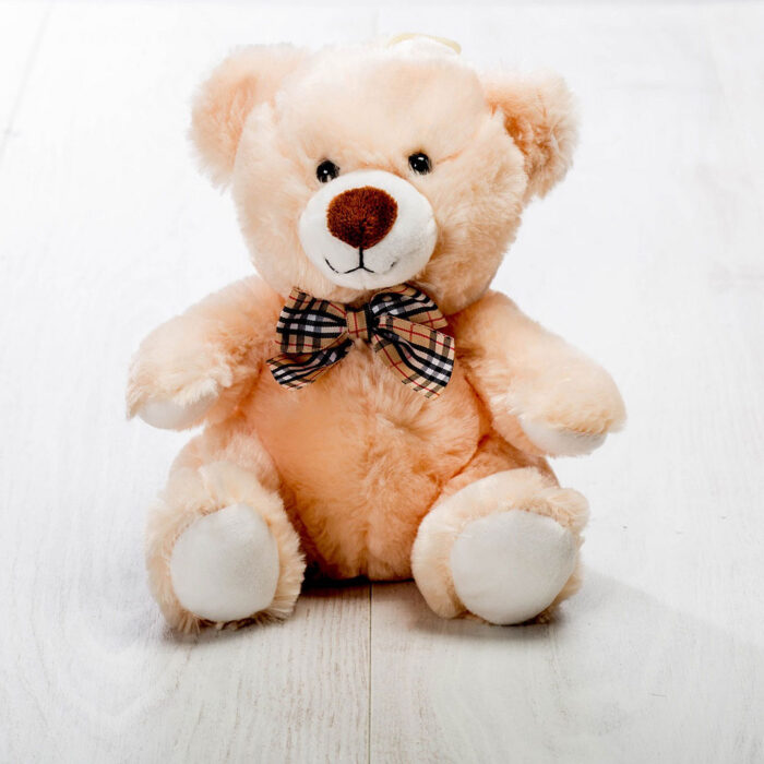 Αρκουδάκι Teddy Bear