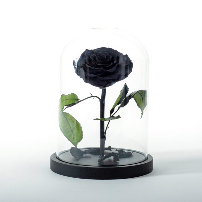 Beauty & The Beast Μαύρο Deluxe
