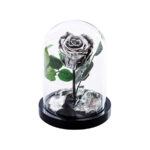 Beauty & The Beast Metallic Ασημί