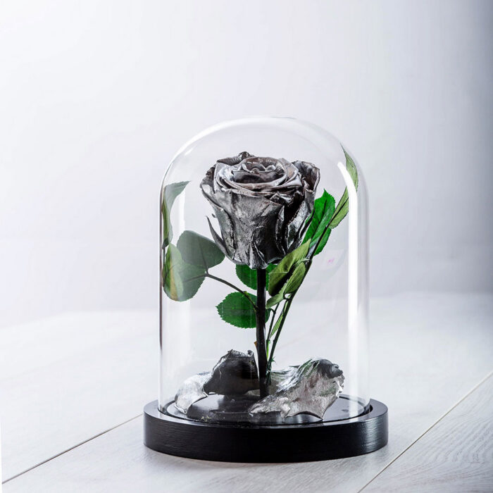 Beauty & The Beast Metallic Ασημί