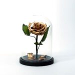 Beauty & The Beast Χρυσό Deluxe