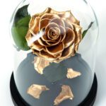 Beauty & The Beast Χρυσό Deluxe
