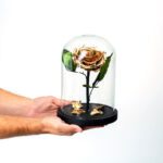 Beauty & The Beast Χρυσό Deluxe