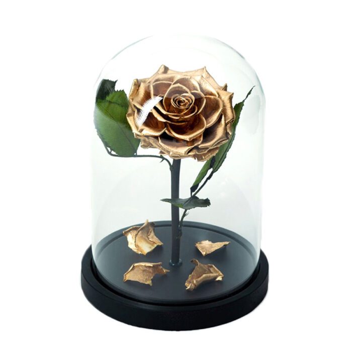 Beauty & The Beast Χρυσό Deluxe