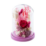 Dry Flowers Φουξ Deluxe