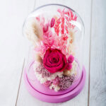 Dry Flowers Φουξ Deluxe