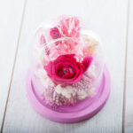 Dry Flowers Φουξ Essential