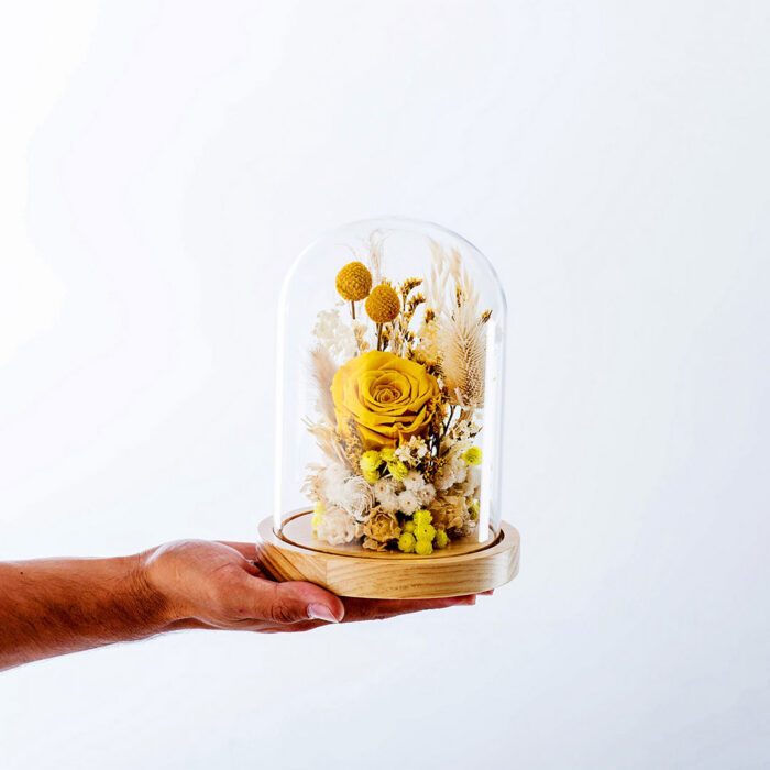 Dry Flowers Κίτρινο Premium