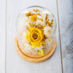 Dry Flowers Κίτρινο Premium