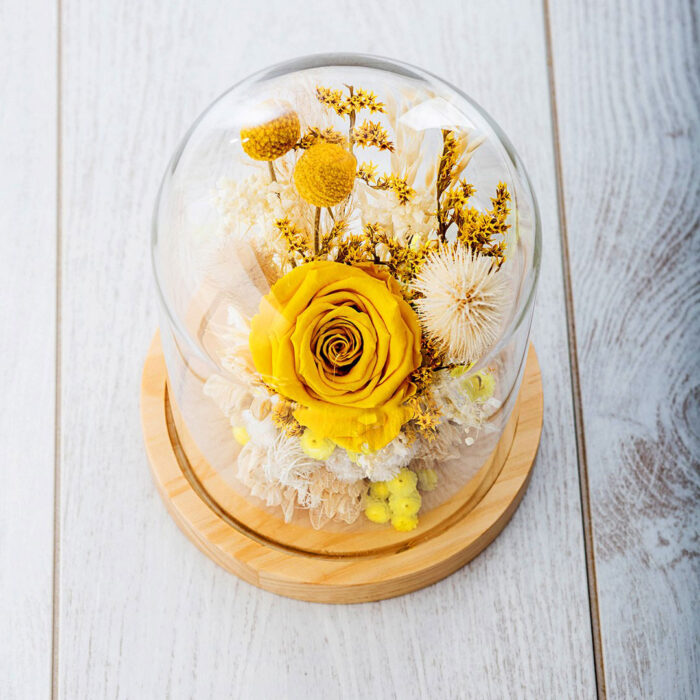 Dry Flowers Κίτρινο Premium