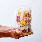 Dry Flowers Ροζ Deluxe