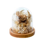 Dry Flowers Χρυσό Essential