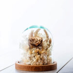 Dry Flowers Χρυσό Essential