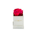 Forever Roses Φουξια Essential