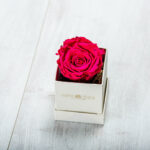 Forever Roses Φουξια Essential