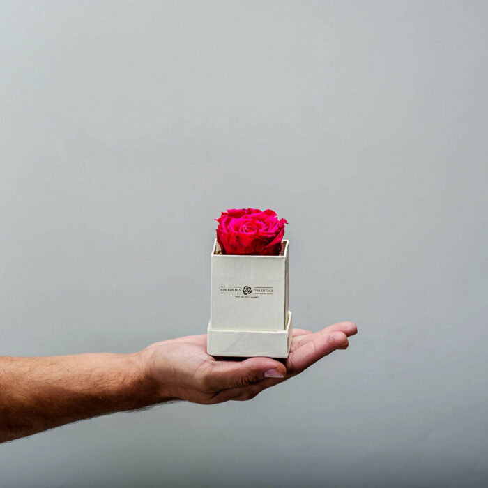 Forever Roses Φουξια Essential