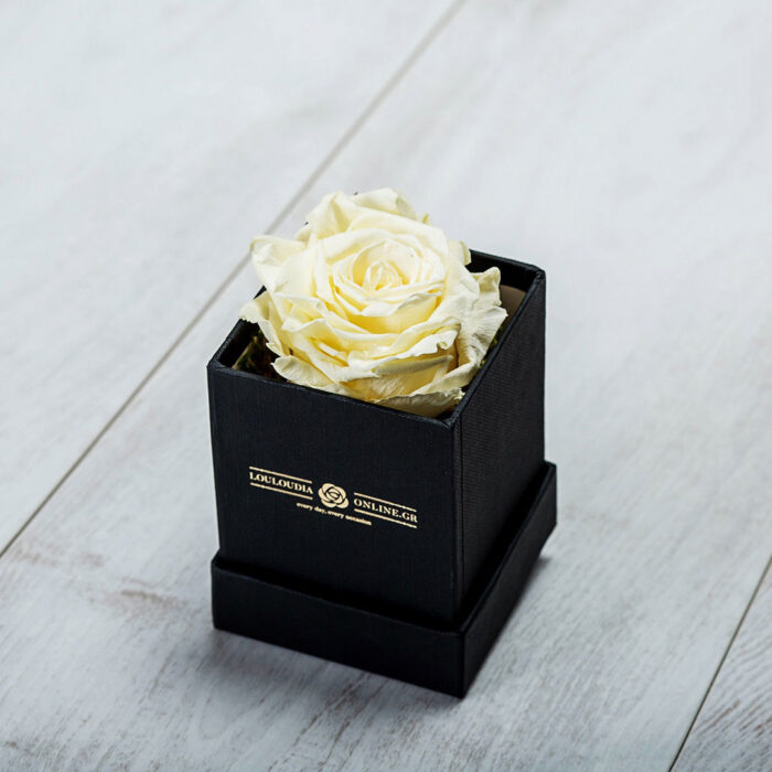 Forever Roses Λευκό Essentia
