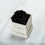 Forever Roses Μαύρο Essential