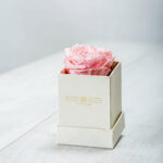 Forever Roses Ροζ Essential
