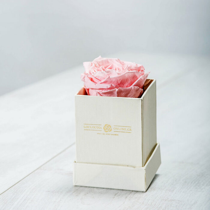 Forever Roses Ροζ Essential