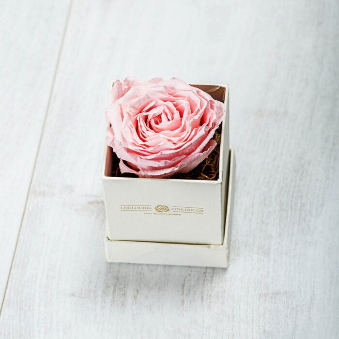 Forever Roses Ροζ Essential
