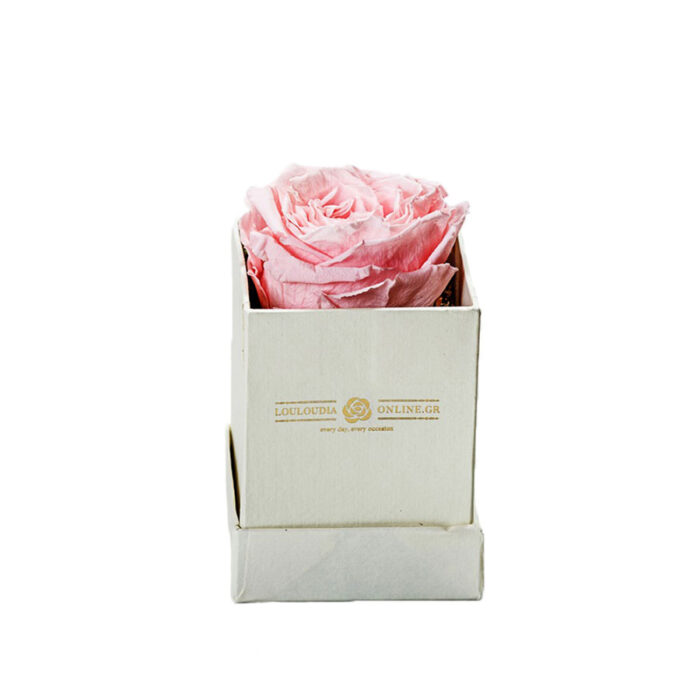 Forever Roses Ροζ Essential