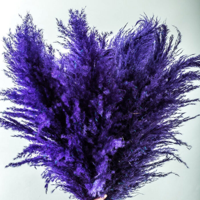 Pampas Bouquet με 10 Pampas σε Μωβ
