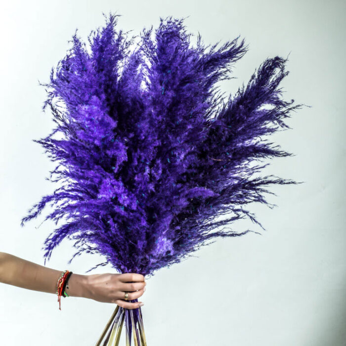 Pampas Bouquet με 10 Pampas σε Μωβ