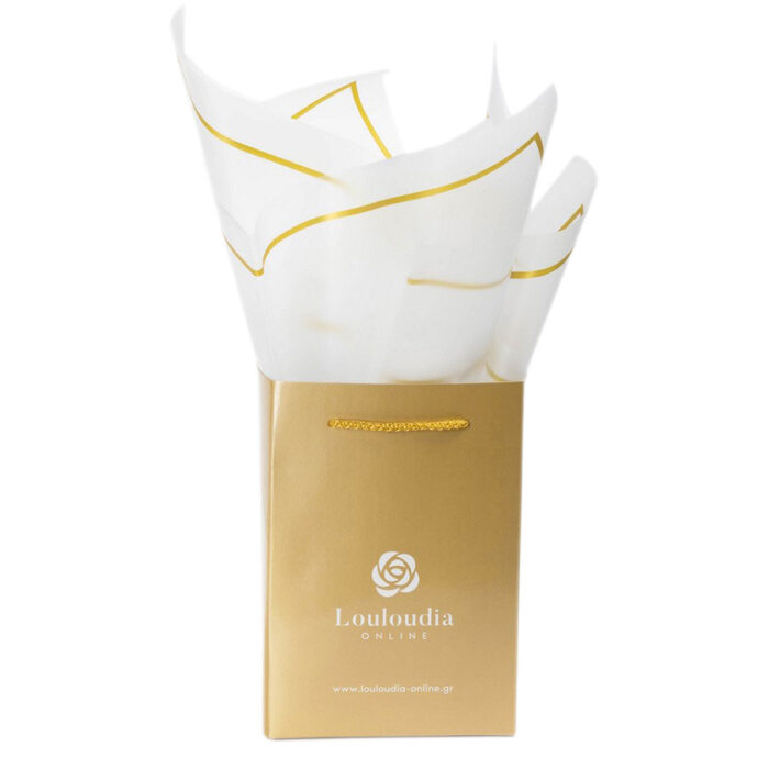 xriso peritiligma coconut 1