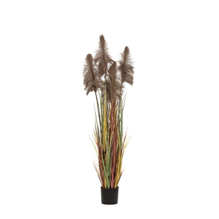 Τεχνητό Φυτό σε Γλάστρα Pampas Grass Καφέ Premium